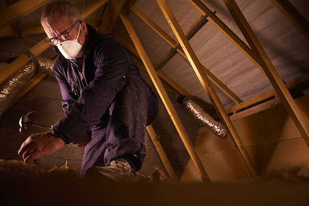 Best Geographic-Specific Insulation Services in Forest Heights, MD